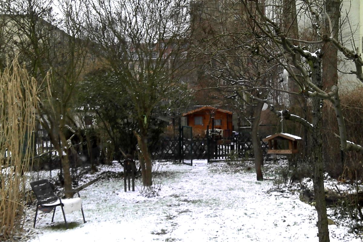 Winter