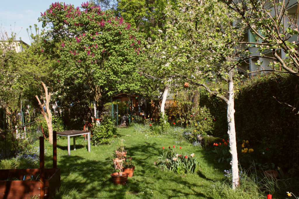 Garten im April 14